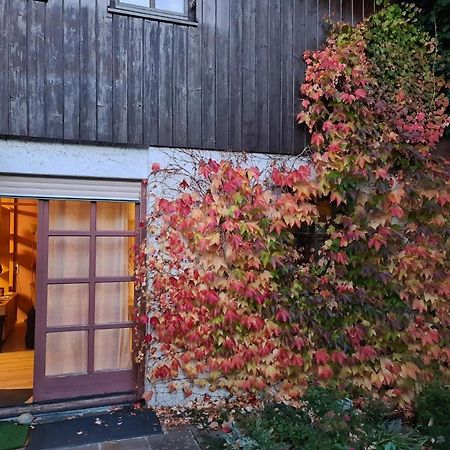 Ferienwohnung Sabine 派廷 外观 照片